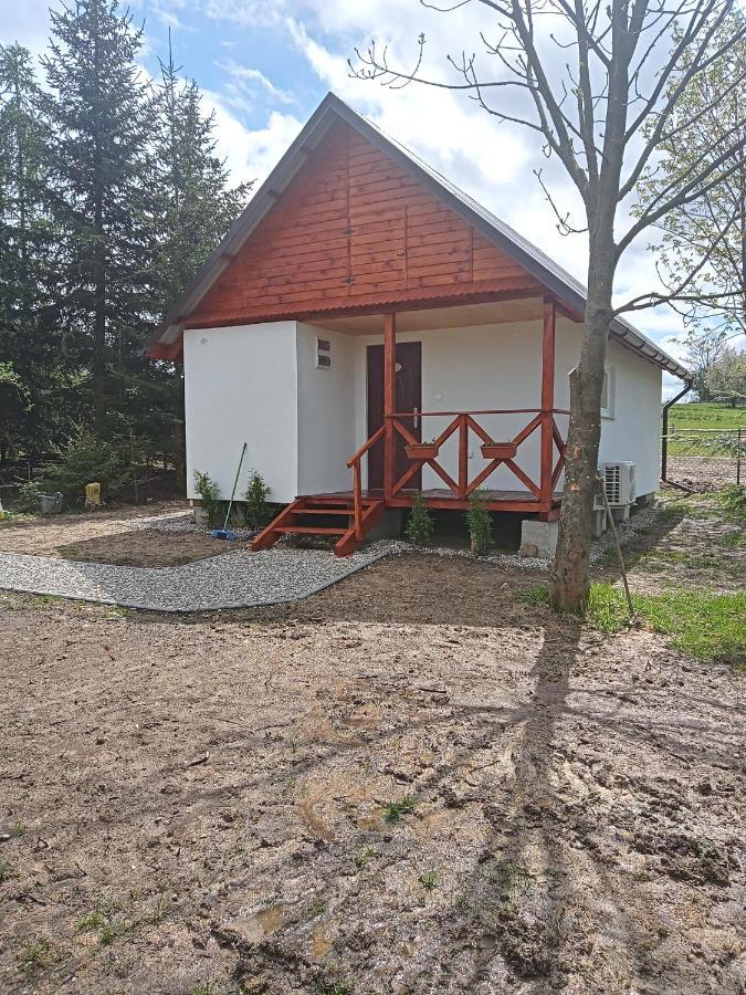 Agroturystyka Pod Sniezna Bystrzyca Kłodzka Exterior foto